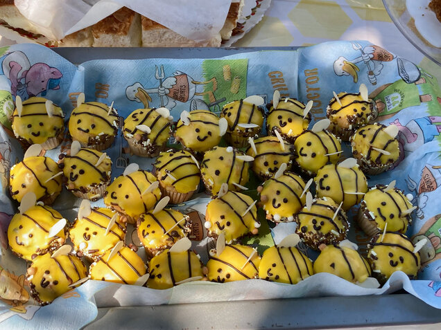 Klassenfest im Bienenvolk